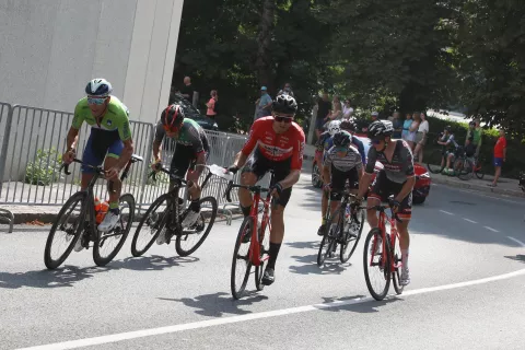 Kolesarje tudi letos čaka kar trinajst vzponov na Jelenov klanec. / Foto: Gorazd Kavčič