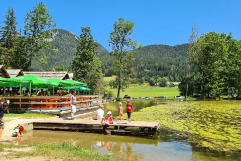 Podobo Plan&scaron;arskega jezera v poletnih dneh kazijo cvetoče alge na gladini. / Foto: Ana &Scaron;ubic