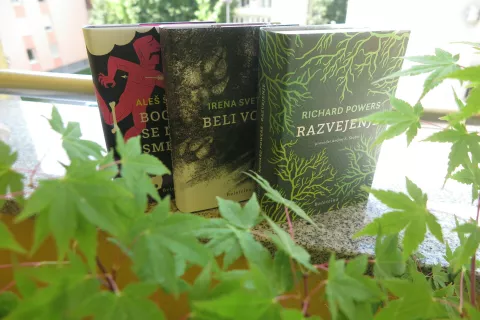 Poletno branje / Foto: Igor Kavčič