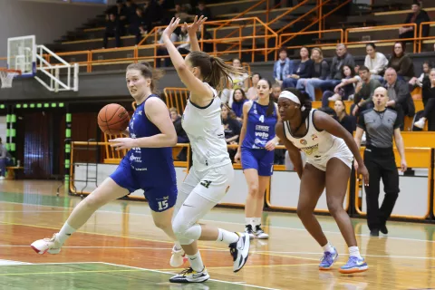 Alpe Adria Cup 2024 ženska košarka ŽKK Triglav članska ekipa zmaga in uvrstitev na zaključni turnir / Foto: Gorazd Kavčič