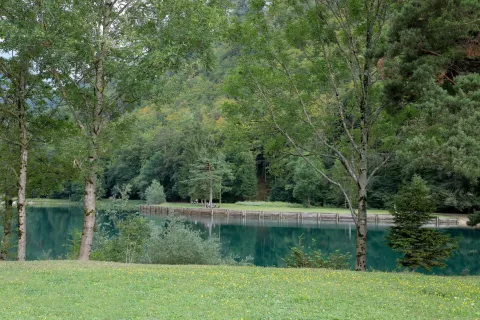 parkiri&scaron;če Zavr&scaron;nica občina Žirovnica narava / Foto: Tina Dokl