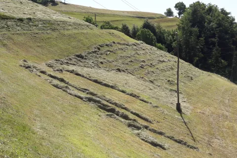 Kmetje bodo z oddajo zbirne vloge lahko uveljavljali tudi plačila za kmetovanje v hribovskih razmerah. / Foto: Cveto Zaplotnik
