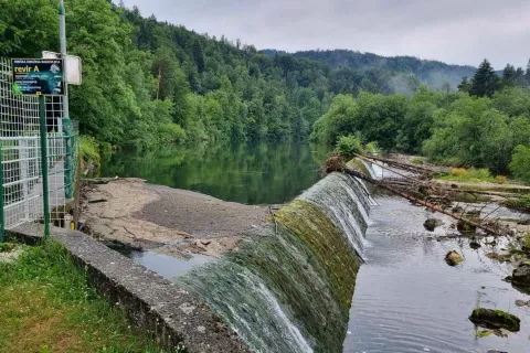 Podpis k sliki / Foto:  