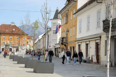 Postavitev dreves v koritih v starem mestnem jedru Kranja je del evropskega projekta Be Ready za blaženje urbanih toplotnih otokov. / Foto: Tina Dokl