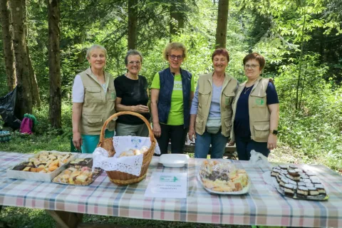 Finfranje Pod krivo jelko Duplje / Foto: Tina Dokl