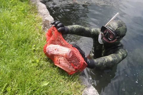 Odpadkov je v blejskem biseru vse manj. / Foto: Gorazd Kavčič