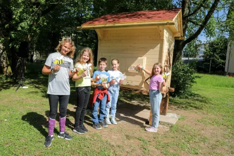 čebelnjak OŠ Simon Jenko Kranj / Foto: Tina Dokl