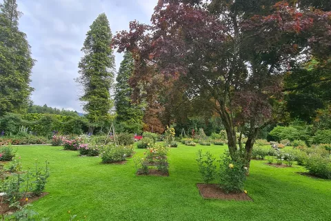 Konec tedna bodo tudi na Gorenjskem svoja vrata odprli nekateri parki, tudi zasebni. / Foto: Alenka Brun