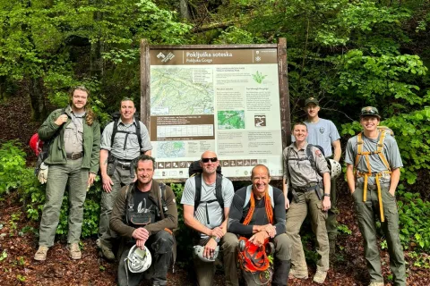 praprot delo / Foto: Marjana Ahačič