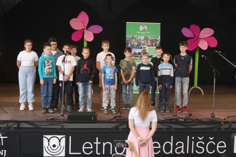 20. Frankofonski festival OŠ Osnovna šola Orehek grad Khislstein učenci učenje jezik francoščina / Foto: Gorazd Kavčič