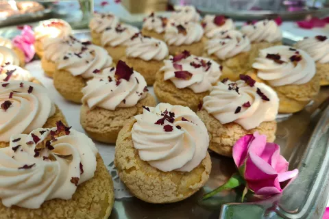 Vrtnične princeske / Foto: Alenka Brun