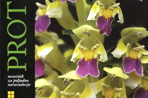 Naslovnica revije Proteus / Foto: 
