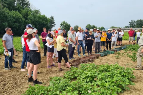 Udeleženci Dneva krompirja na poskusnem polju kmetijskega inštituta v Pšenični Polici / Foto: Cveto Zaplotnik