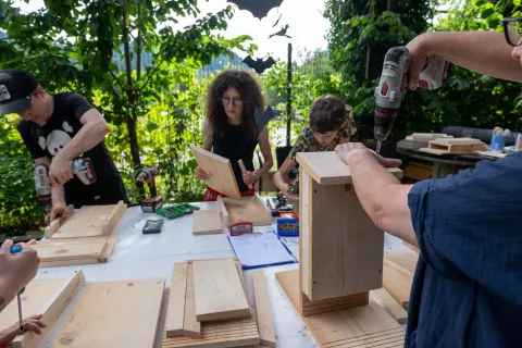 Izdelava netopirnic v Mačjem Dolu / Foto: Primož Pičulin