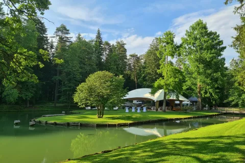 Ko vino izbere glasbo / Foto: Alenka Brun