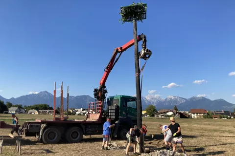Na Bregu ob Savi so postavili drog z gnezdom za &scaron;torklje. / Foto: arhiv Rotary klub Logatec