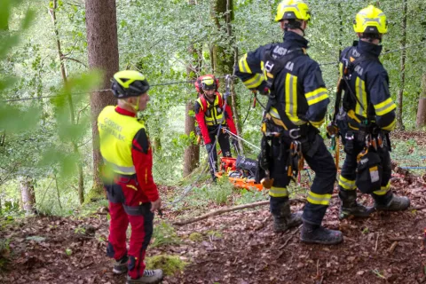 Vaja je potekala na strmem gozdnatem pobočju. / Foto: Primož Pičulin / Foto: 