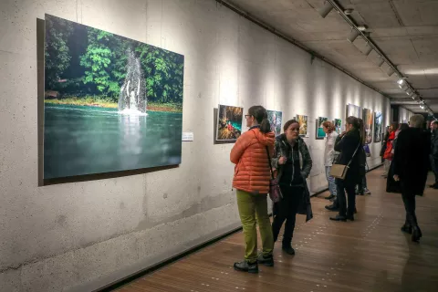 Potujoča razstava Varuhinje rek je bila pred tem že na ogled v Galeriji Ljubljanskega gradu. / Foto: Tina Dokl / Foto: 