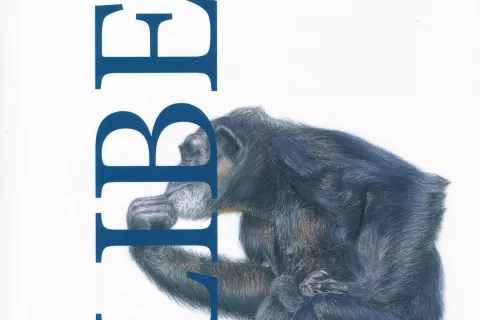 Miha Pintarič, Liber, Univerza v Ljubljani in Filozofska fakulteta, Ljubljana, 2023, 120 strani / Foto: 