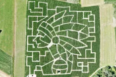 Koruzni labirint na Krtini ima motiv Indijanca.