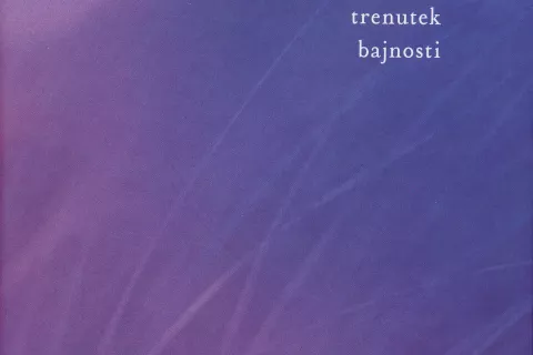 Ocean Vuong, Bežen trenutek bajnosti, prevedli Anja Zag Golob in Katja Šaponjić, Mladinska knjiga, Ljubljana, 2022, 300 strani / Foto: 