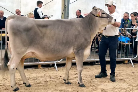 Bergantovo prvesnico Rinko je po ocenjevalnem krogu vodil Primož Kopač iz Medna. / Foto: Igor Stanonik – KGZ Kranj / Foto: 