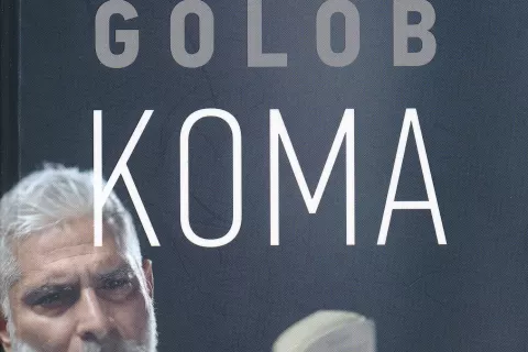 Tadej Golob, Koma, Goga, Novo mesto, 2022, 432 strani / Foto: 