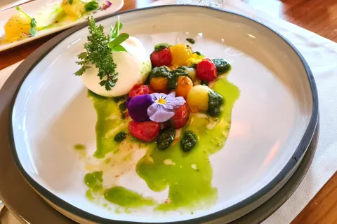 Buratta v živopisni družbi češnjevcev / Foto: Alenka Brun / Foto: 