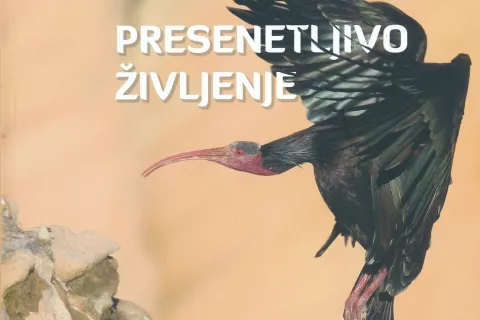 Presenetljivo življenje, monografija ob razstavi, CD in PMS, Ljubljana, 2022, 220 strani / Foto: 