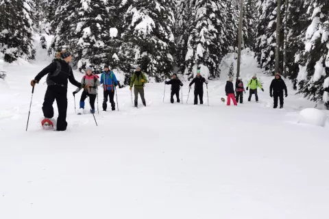 Krpljanje po Pokljuki je bilo za udeležence izziv in hkrati lepo doživetje. / Foto: arhiv PD Kranj / Foto: 