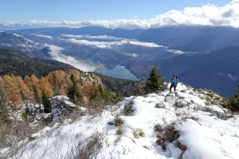 Vidite srce spodaj? / Foto: Jelena Justin / Foto: 