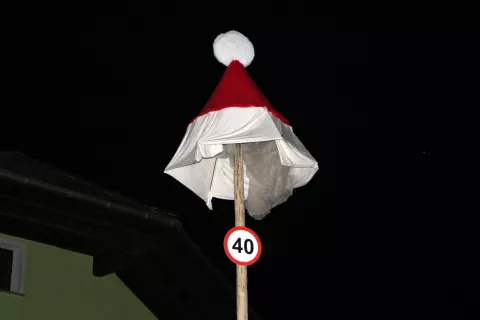 / Foto: Alenka Brun / Foto: 