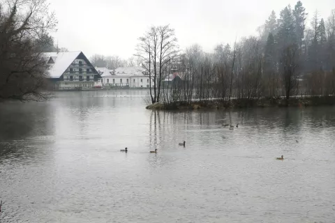 Praznjenja preddvorskega jezera Črnava letos niso izpeljali. Zadnjič so ga izpraznili leta 2010. / Foto: Alenka Brun / Foto: 