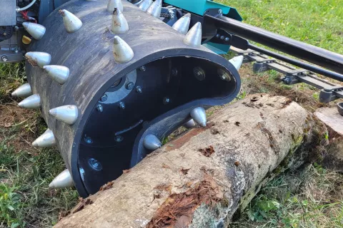 POdpis k sliki / Foto:  N