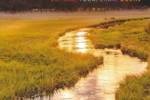 Željko Kozinc, Brezčasna potepanja, Mladinska knjiga, Ljubljana, 2022, 240 strani / Foto: 