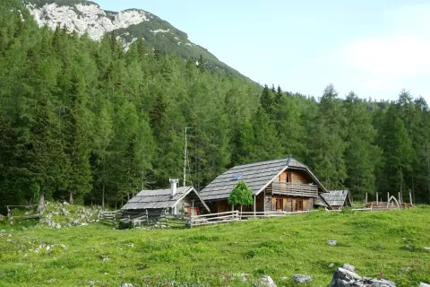 Planina Ravne / Foto: Jelena Justin / Foto: 