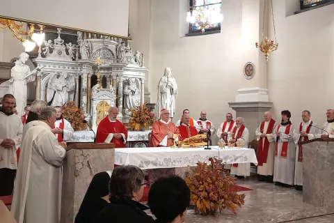Somaševanje bratov iz Frančiškovih redov v baziliki na Brezjah / Foto: Jože Košnjek / Foto: 