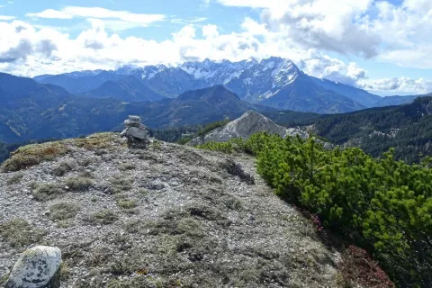 Možic na vrhu Male Košute. V ozadju greben Kamniško-Savinjskih Alp. / Foto: Jelena Justin / Foto: 