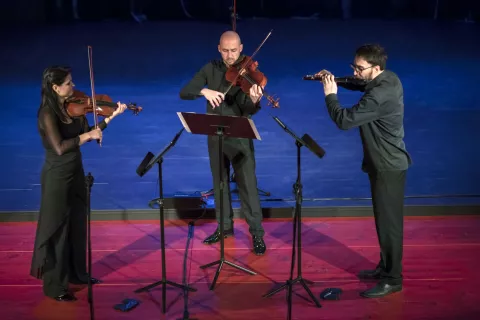 Utrinek z lanskoletnega koncerta Lane Trotovšek / Foto: arhiv Kulturnega društva Kropa / Foto: 