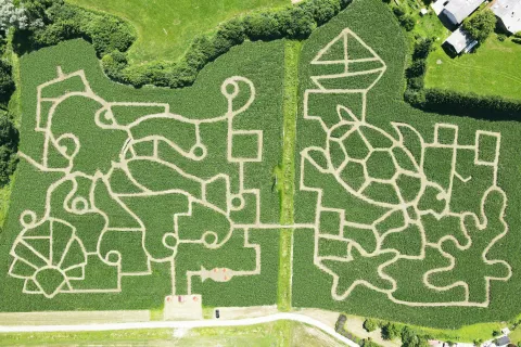 Koruzni park Krtina, pogled / Foto: Arhiv Koruznega Parka