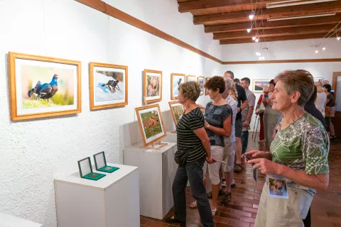 Razstava Pozdrav z Ratitovca bo na ogled do 12. avgusta. / Foto: Simon Benedičič