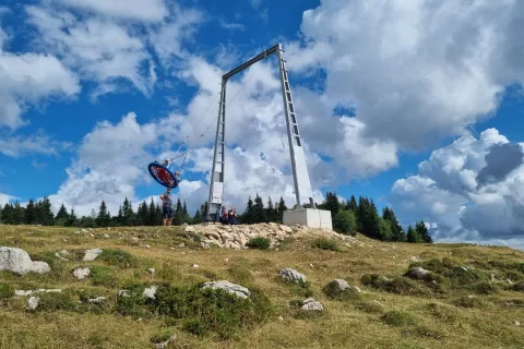 Gugalnice Velika planina / Foto: Jasna Paladin