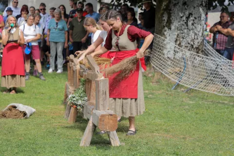 Terice so trle lanena stebla, da bi čim bolj odstranile ostanke ličja. / Foto: Tina Dokl