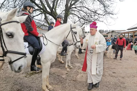 Konje je v Hrašah blagoslovil smleški župnik Tomaž Nagode. / Foto: Maja Bertoncelj / Foto: 