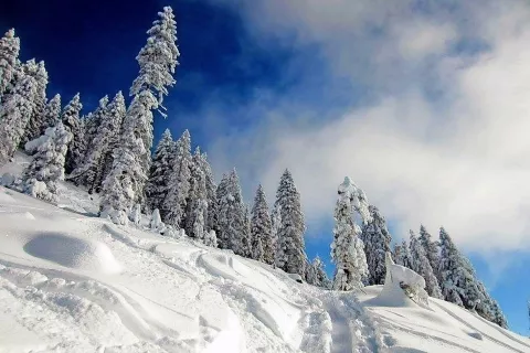 Zimska idila / Foto: Jelena Justin / Foto: 