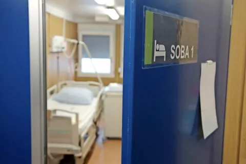 Foto: Gorazd Kavčič / Foto: 