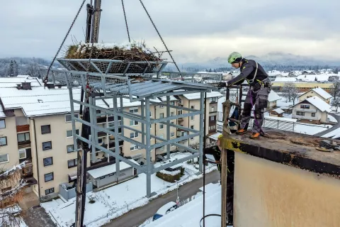 Na stanovanjski blok v Frankovem naselju so namestili posodobljen dom za štorklje. / Foto: Andrej Tarfila / Foto: 