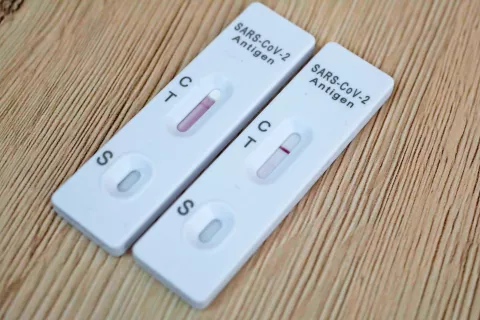 Foto: Gorazd Kavčič / Foto: 