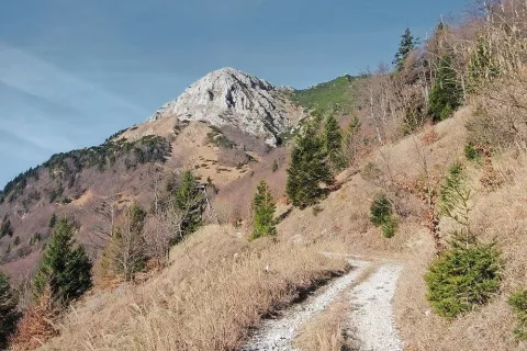 Začetek mulatjere, ki poteka skozi strnjen bukov gozd / Foto: Jelena Justin / Foto: 