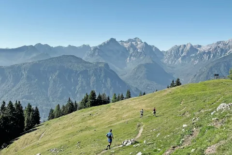Vreme je bilo naklonjeno tekačem, ki so lepo sprejeli tudi nove, daljše proge. / Foto: 
